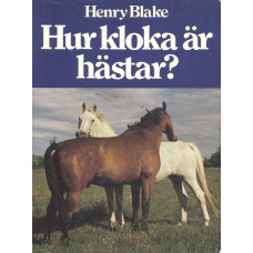 Hur kloka är hästar?