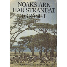 Noaks ark har strandat i gräset