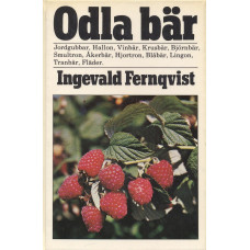 Odla bär