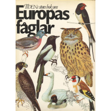 Tidens stora bok
om Europas fåglar