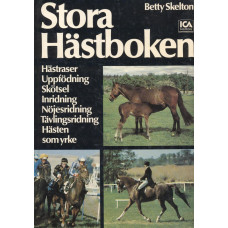 Stora hästboken