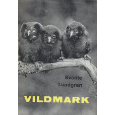 Vildmark