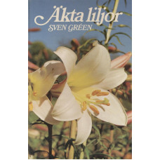 Äkta liljor