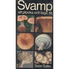 Svamp att plocka och laga