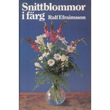 Snittblommor i färg