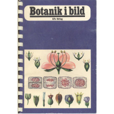 Botanik i bild