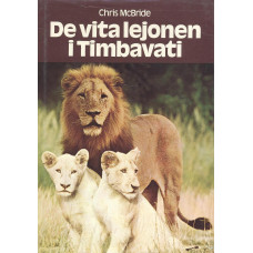 De vita lejonen i Timbavati