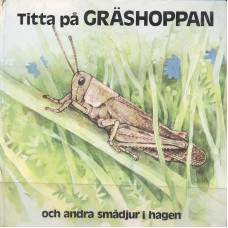 Titta på gräshoppan
och andra smådjur i hagen