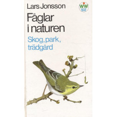 Fåglar i naturen 
Skog, park, trädgård