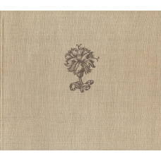 Vildflor och trädgårdsblommor
