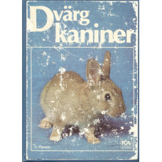 Dvärgkaniner