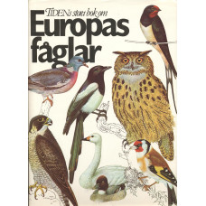 Tidens stora bok
om Europas fåglar
