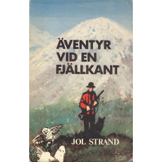 Äventyr vid en fjällkant