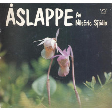 Åslappe