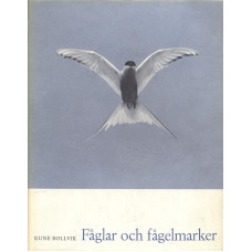 Fåglar och fågelmarker