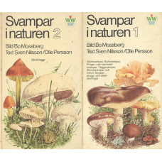 Svampar i naturen 1
Svampar i naturen 2