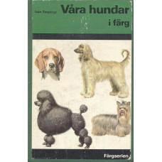 Våra hundar i färg 