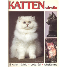 Katten vår vän 