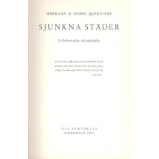 Sjunkna städer