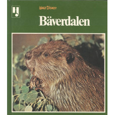 Bäverdalen 