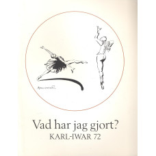 Vad har jag gjort?
72