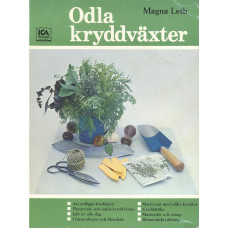 Odla kryddväxter