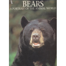 Bears
A portrait of the animal world