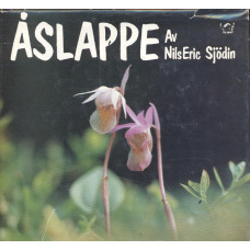 Åslappe