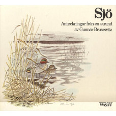 Sjö
Anteckningar från en strand