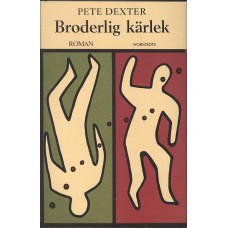 Broderlig kärlek