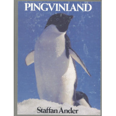 Pingvinland
Resa till Falklandsöarna och Antarktis